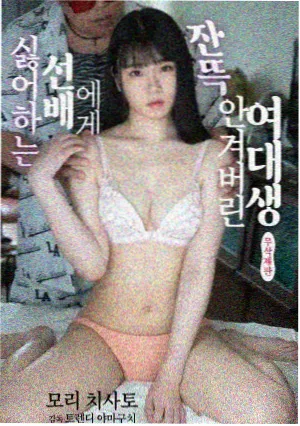 潮汐记事剧集封面